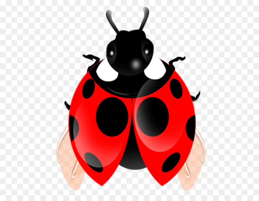 Coccinelle，Bogue PNG