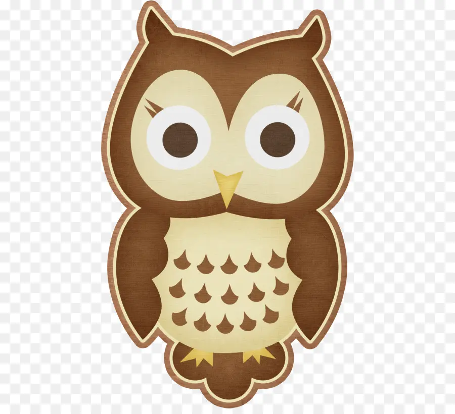 Hibou，Nocturne PNG