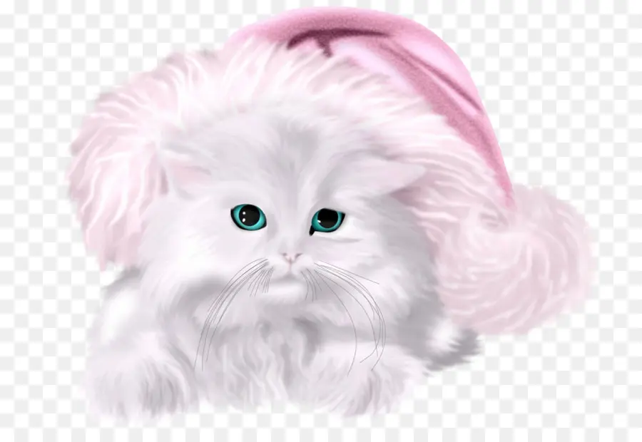 Chaton，Moustaches PNG