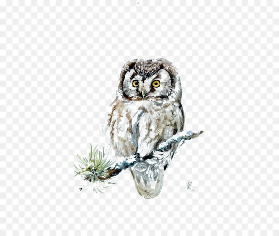 Hibou，Oiseau PNG