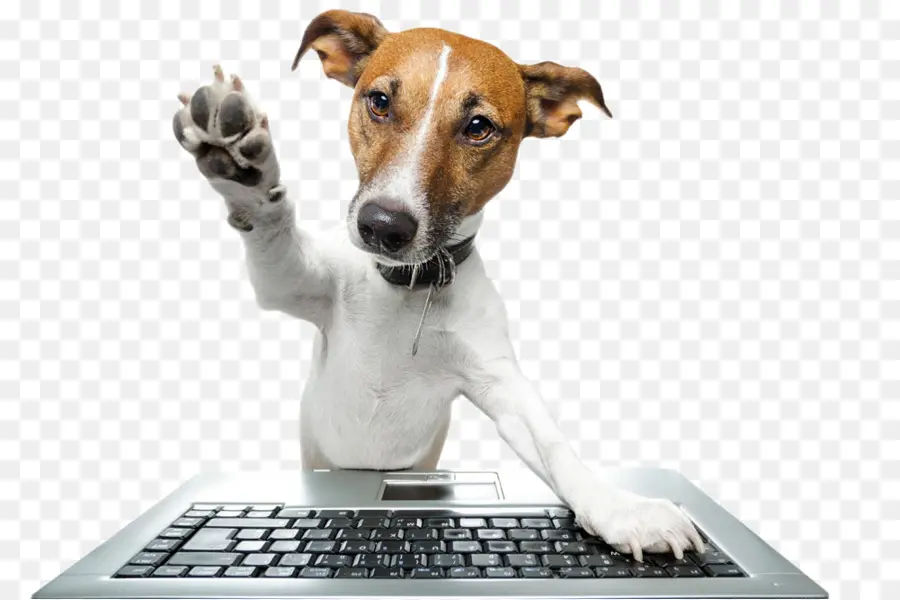 Chien，Clavier PNG