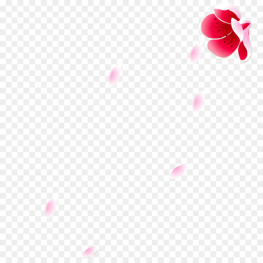 Fond Floral，Fleurs PNG