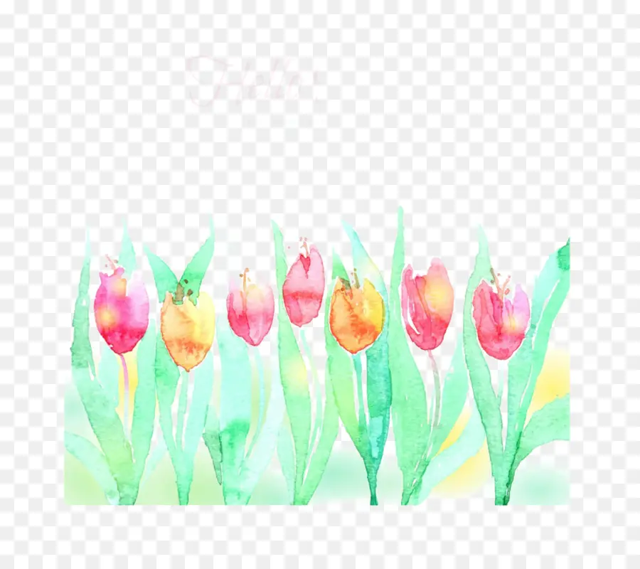 Tulipes Aquarelles，Fleurs PNG