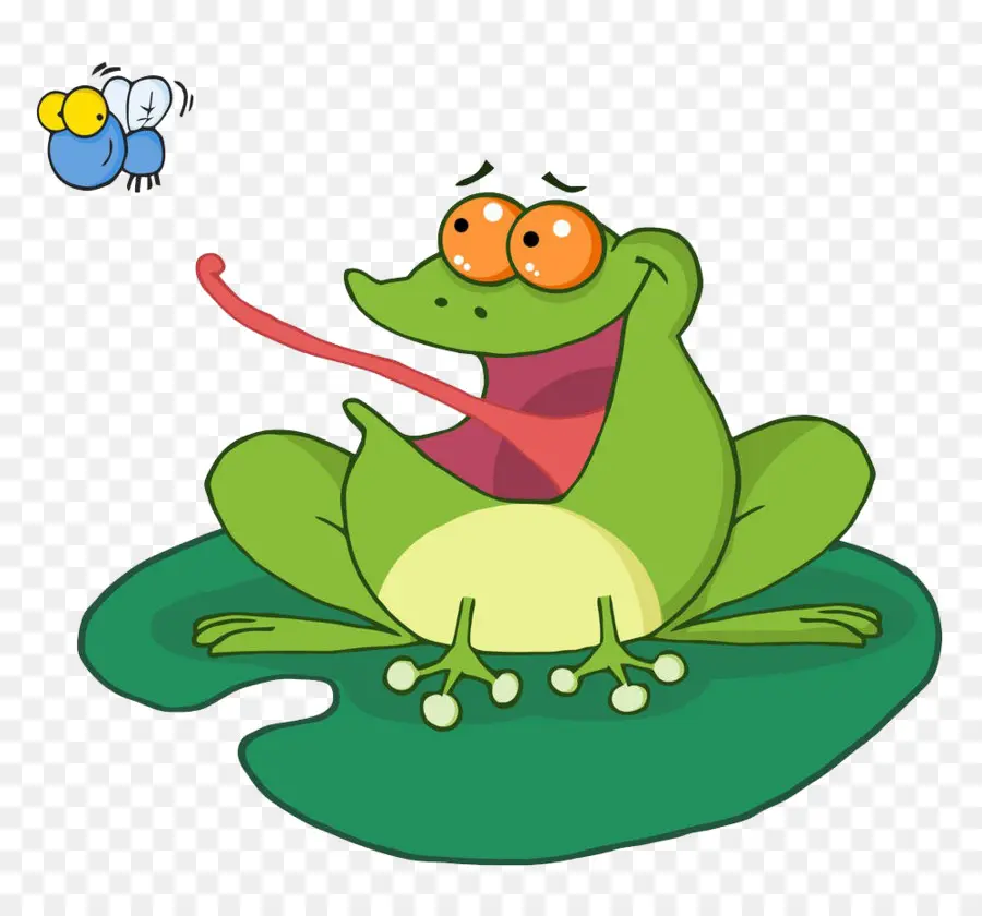 Grenouille Avec Mouche，Grenouille PNG