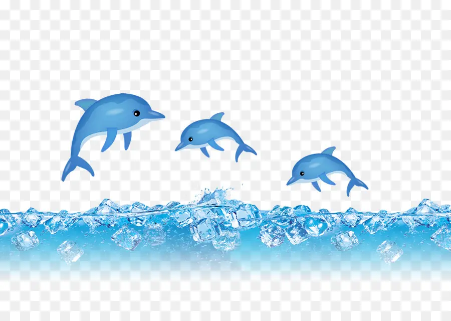 Dauphins，Eau PNG