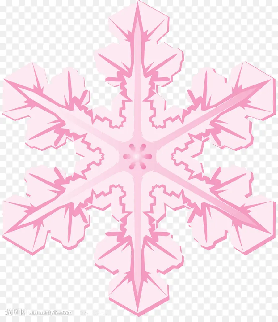 Flocon De Neige Rose，Hiver PNG