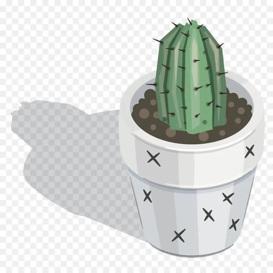 Cactus En Pot，Succulent PNG