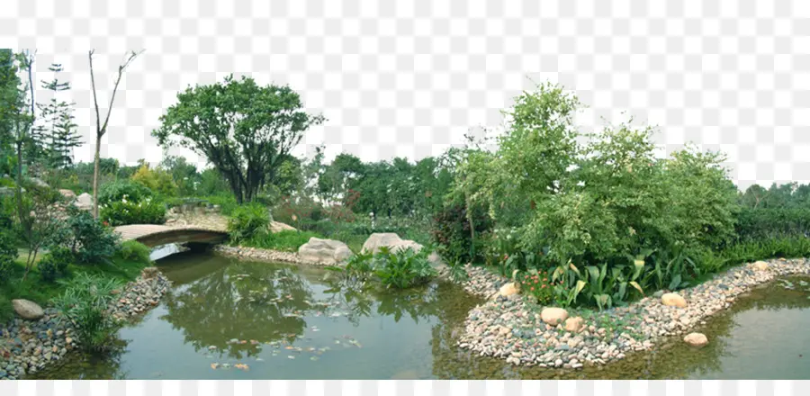 L étang，Jardin PNG