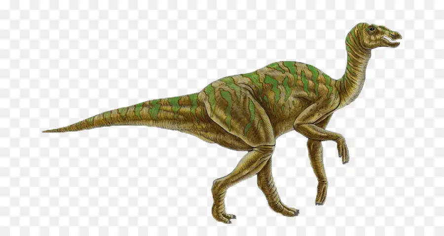 Hadrosaurus，Jaxartosaurus PNG