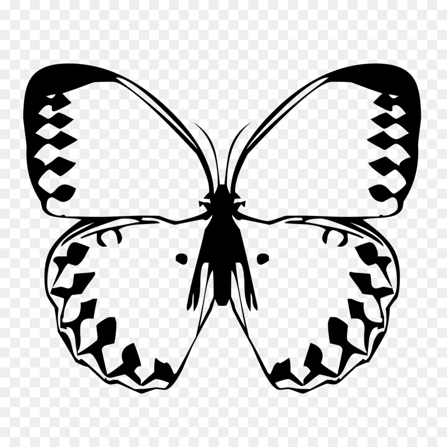 Papillon Noir，Insecte PNG