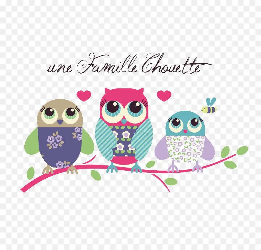 Chouette，Papier PNG