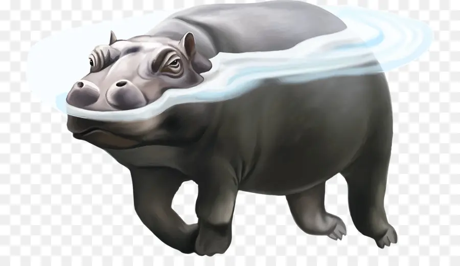 Hippopotame，Eau PNG