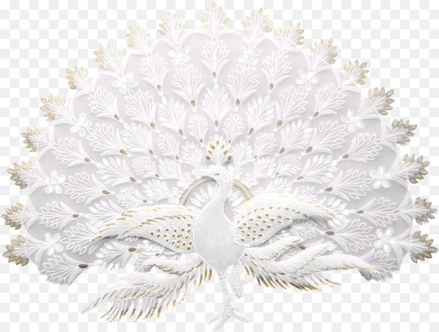 Paon，Plumes PNG