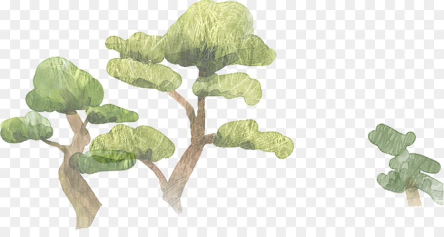 Arbres，Vert PNG