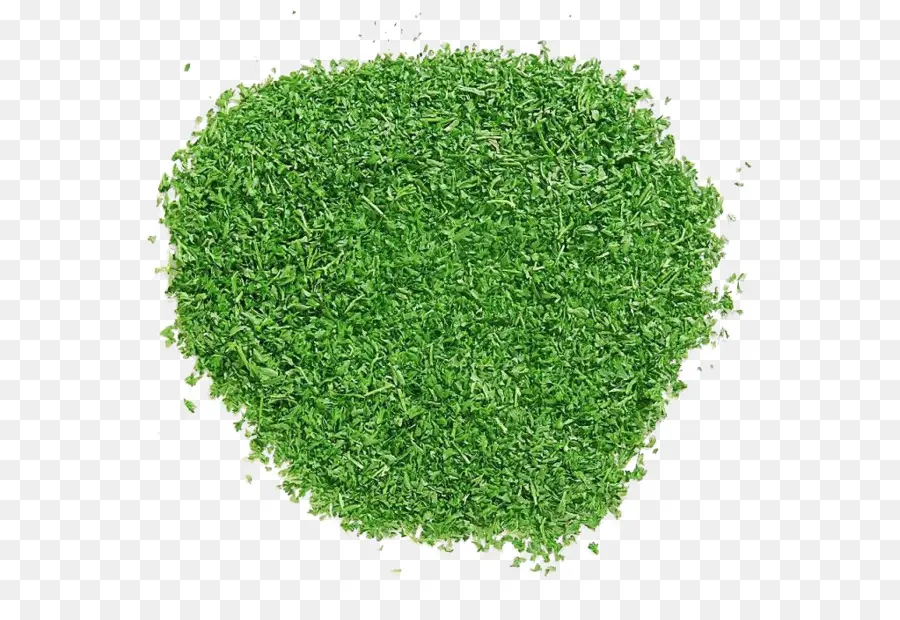 Herbes，Vert PNG