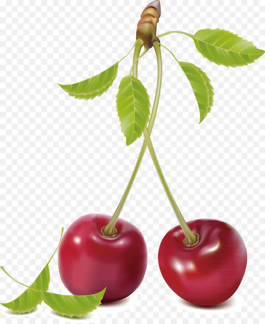 Grappe De Cerises，Cerises PNG