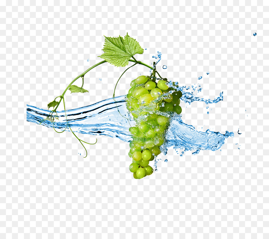 Raisins Verts，Eau PNG