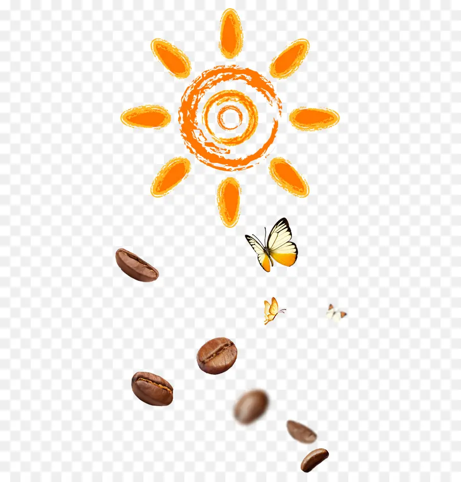 Soleil Et Grains De Café，Papillon PNG