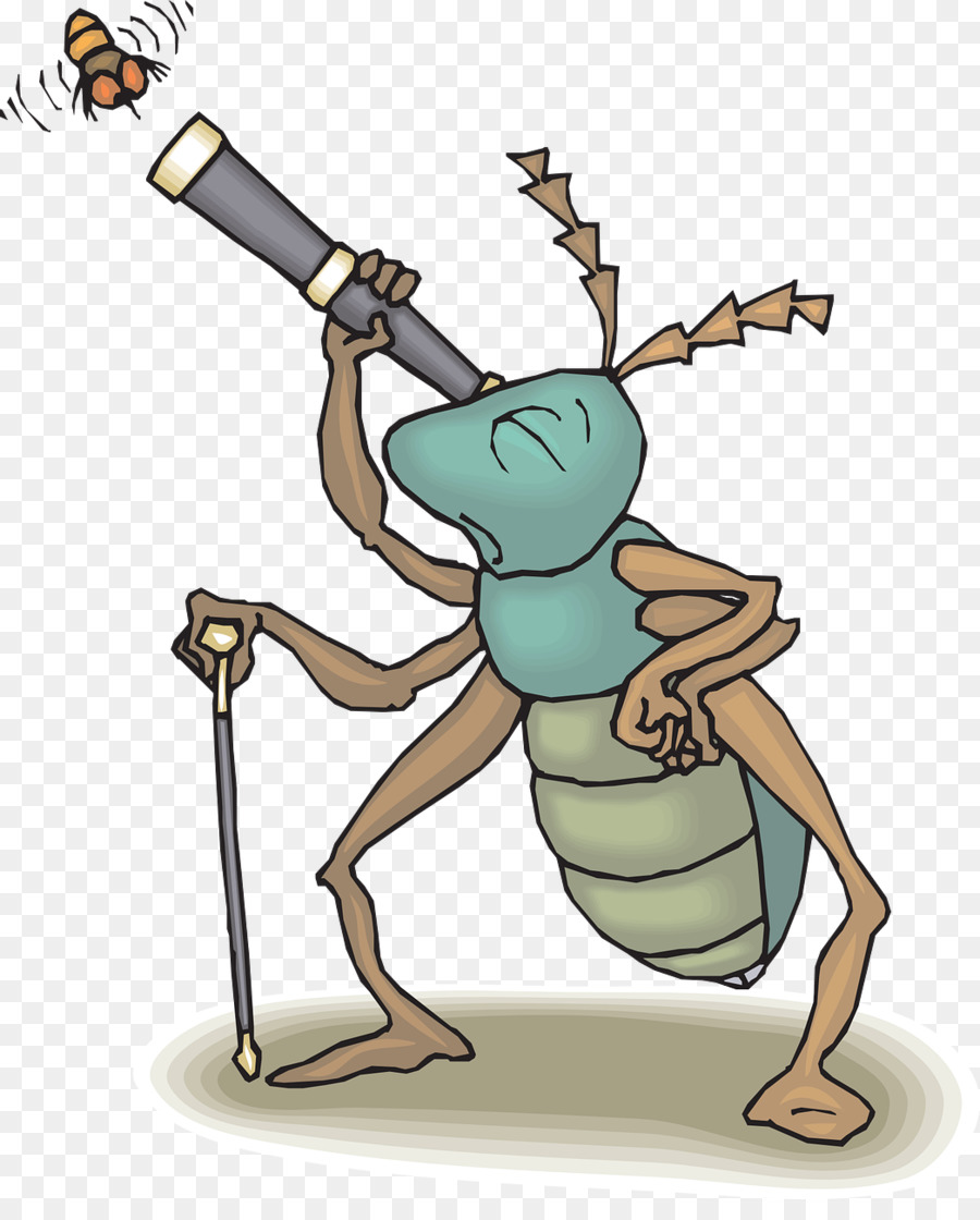 Insecte，Dessin Animé PNG