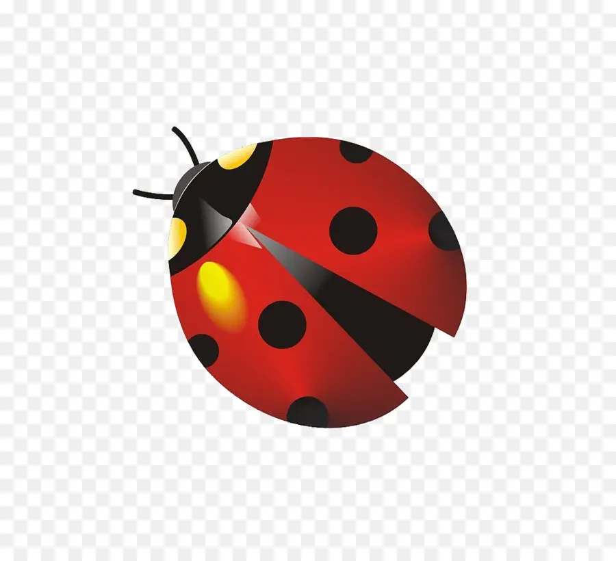 Insecte，Coccinelle PNG