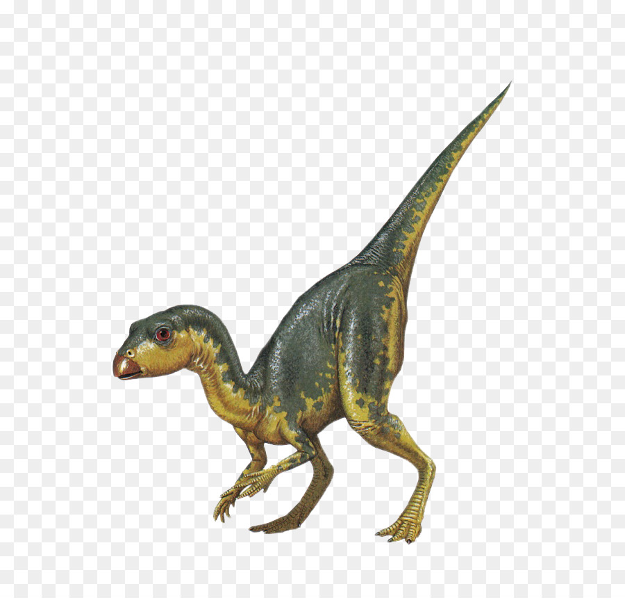 Dinosaure Vert，Préhistorique PNG