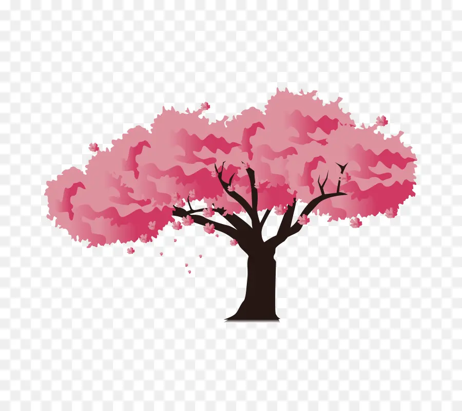 Japon，Fleur De Cerisier PNG