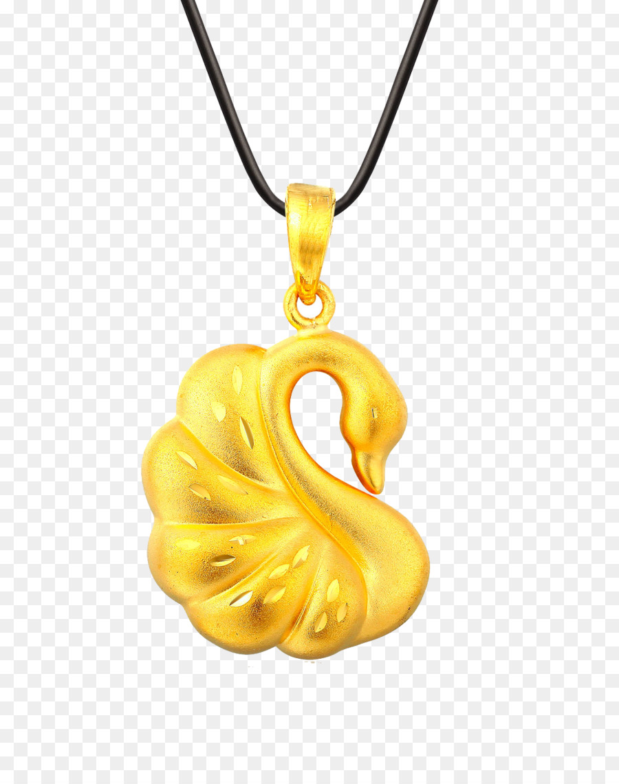 Médaillon，Collier PNG