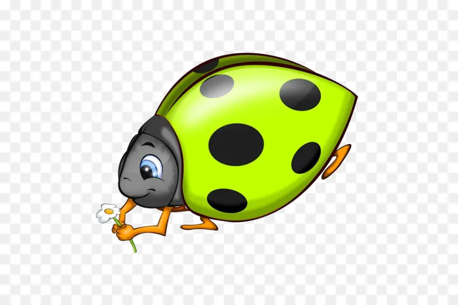 Coccinelle Verte，Insecte PNG