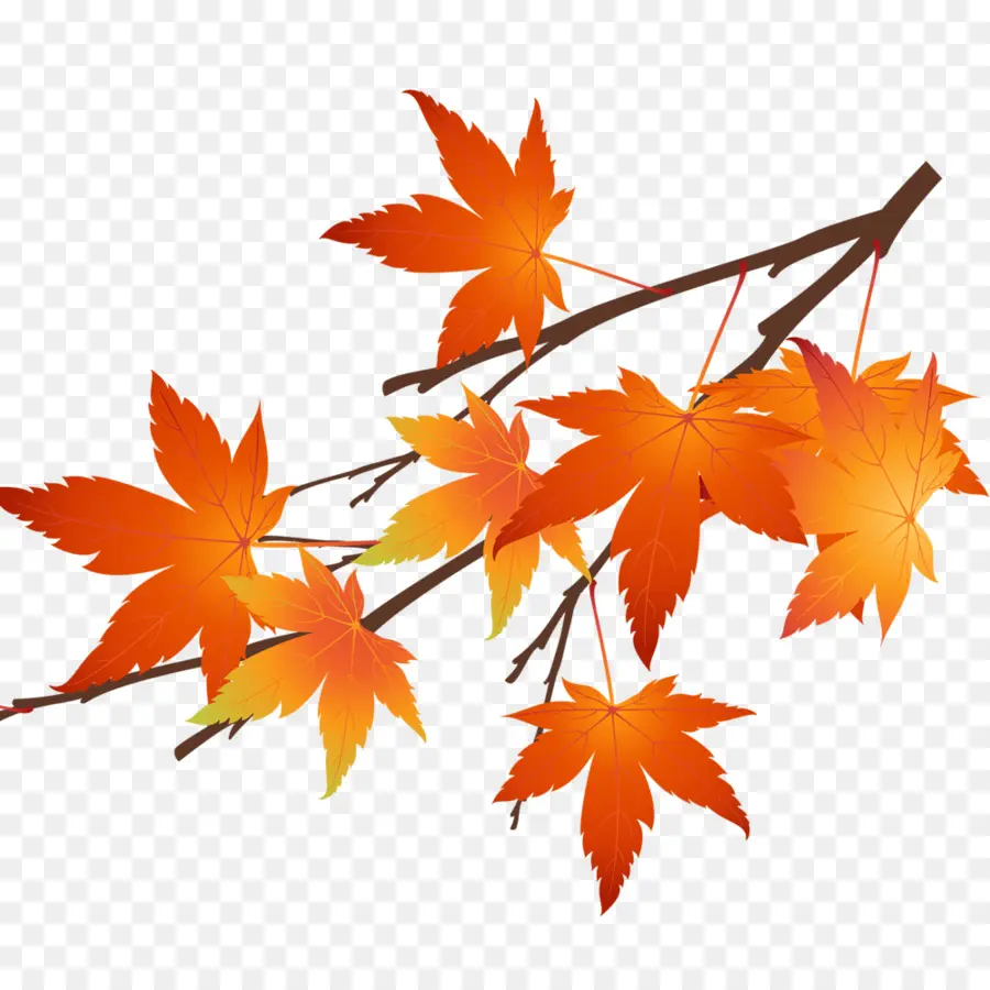 Feuilles D'automne，Arbre PNG