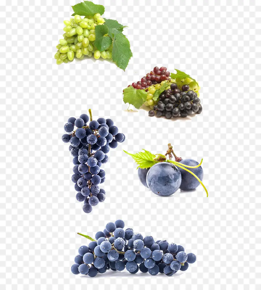 Raisins，Bouquet PNG