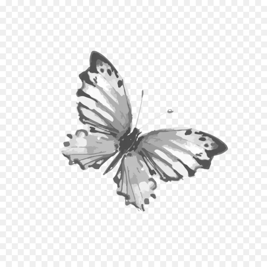 Papillon，Noir PNG