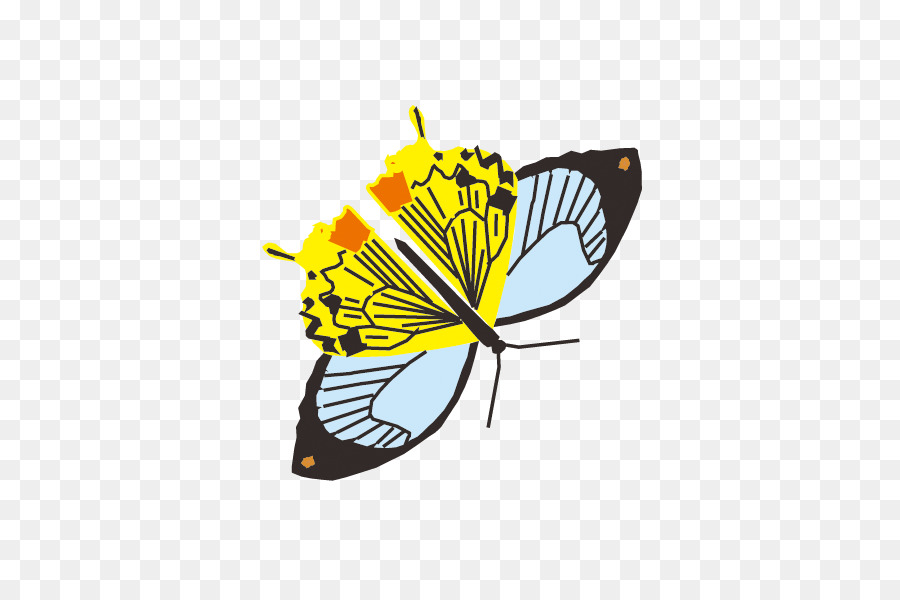 Papillon，Ailes PNG