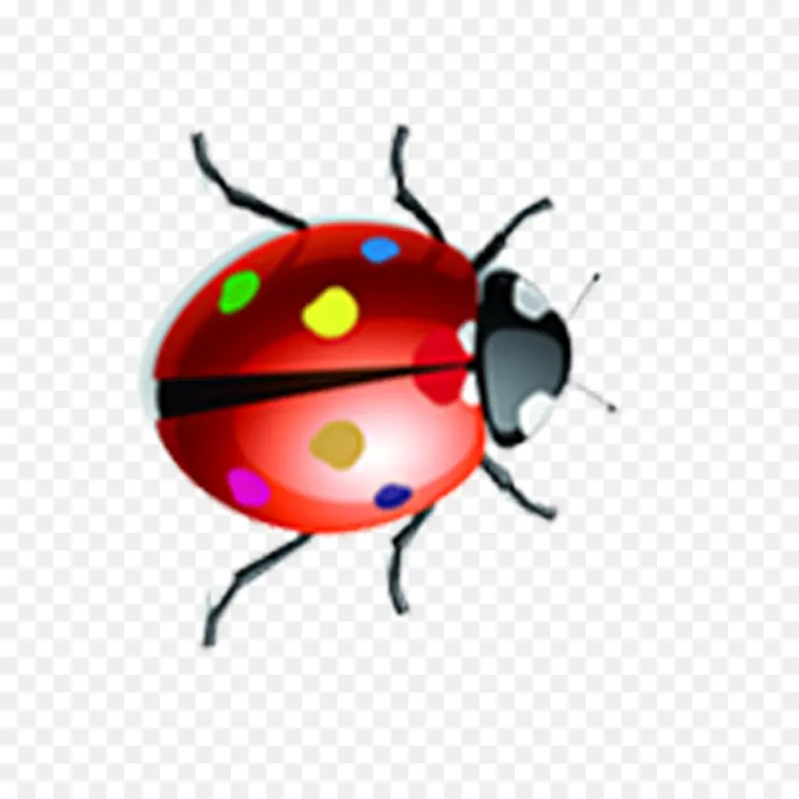 Coccinelle，Rouge PNG