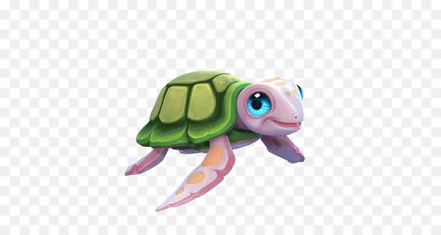 Tortue Mignonne，Tortue PNG