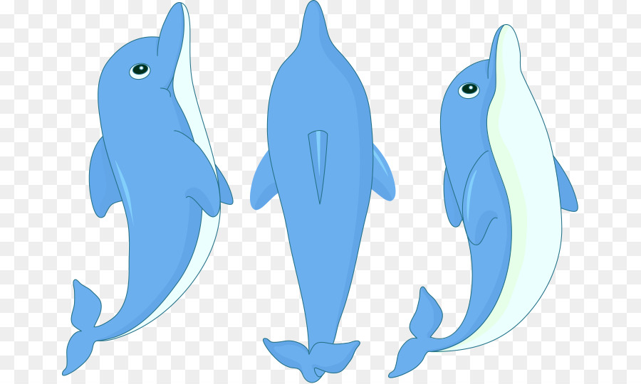 Dauphins De Dessin Animé，Marin PNG