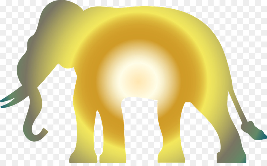 éléphants，Lion PNG