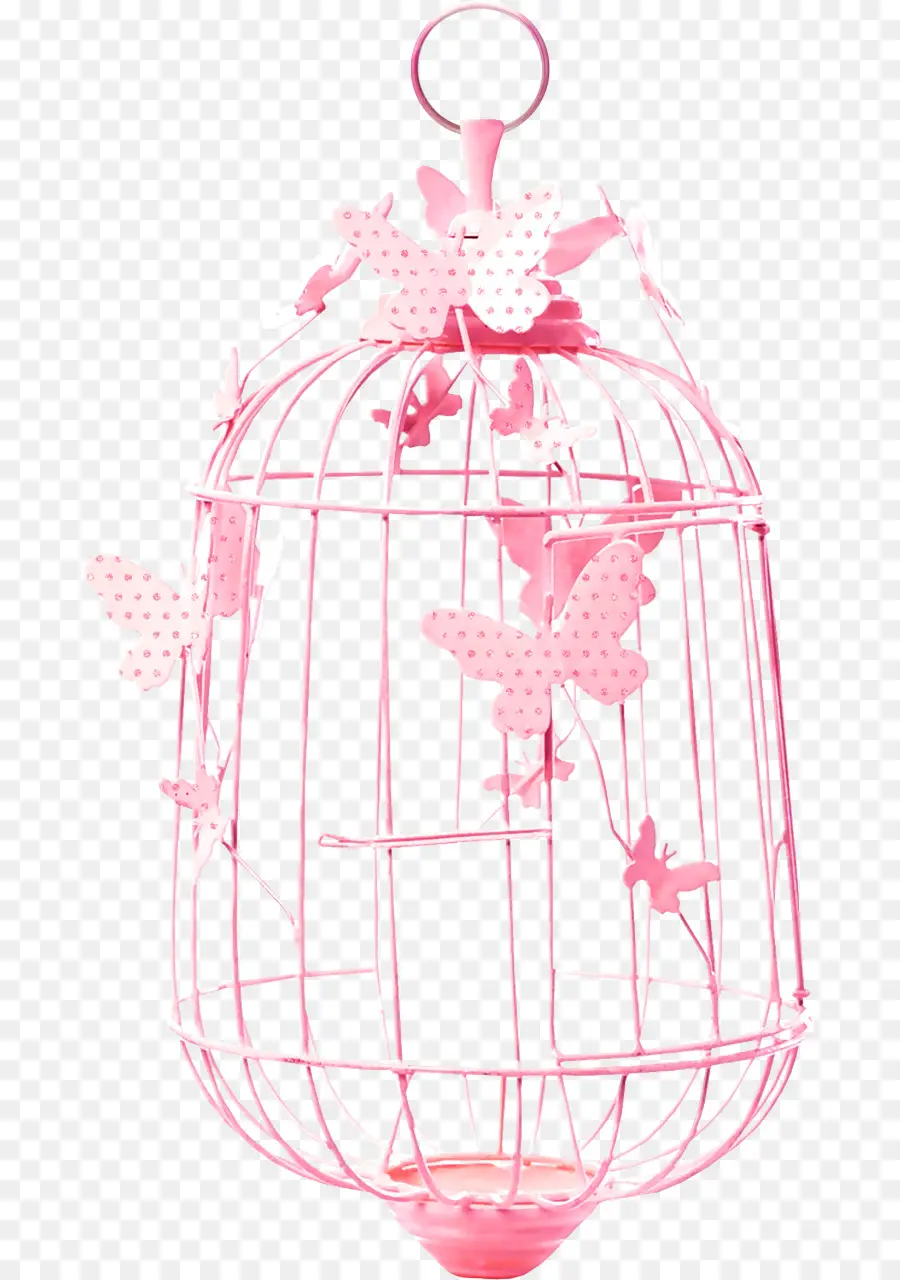 Cage à Oiseaux Papillon Rose，Papillon PNG