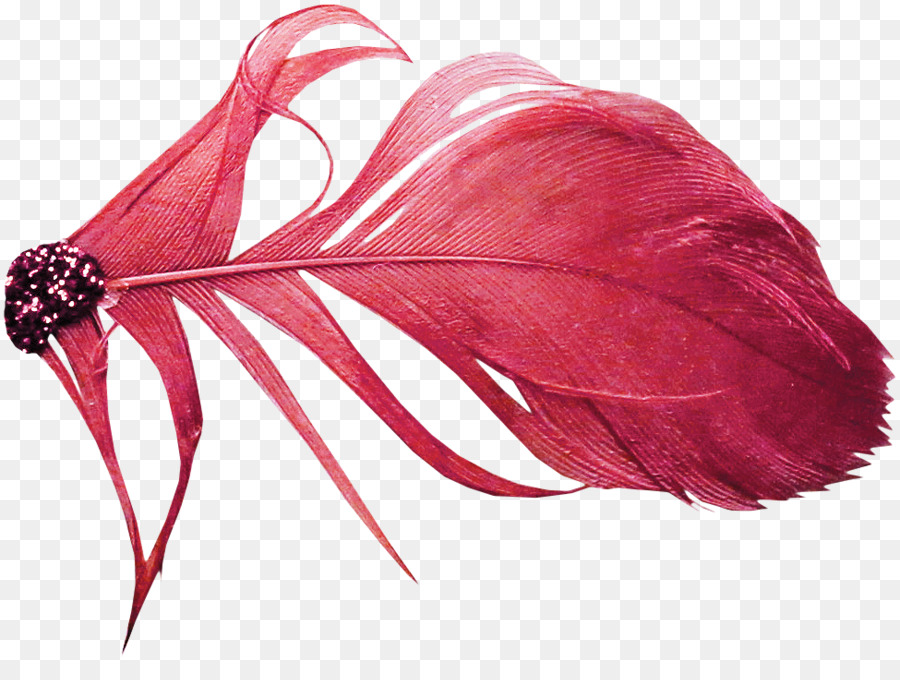 Rouge，Plume PNG