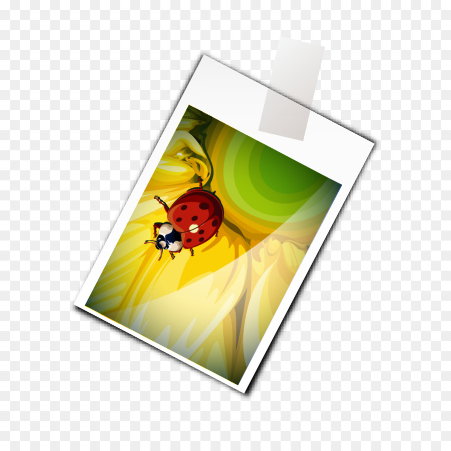 Les Insectes，Papillon PNG