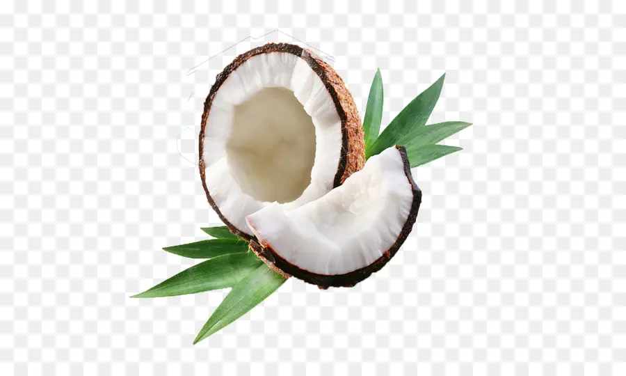 Noix De Coco，Tropical PNG