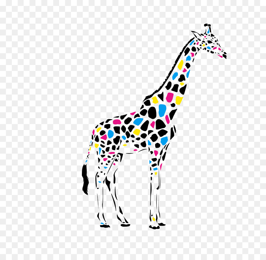 Girafe Colorée，Taches PNG