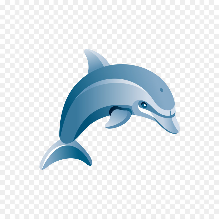 Dauphins De Dessin Animé，Marin PNG