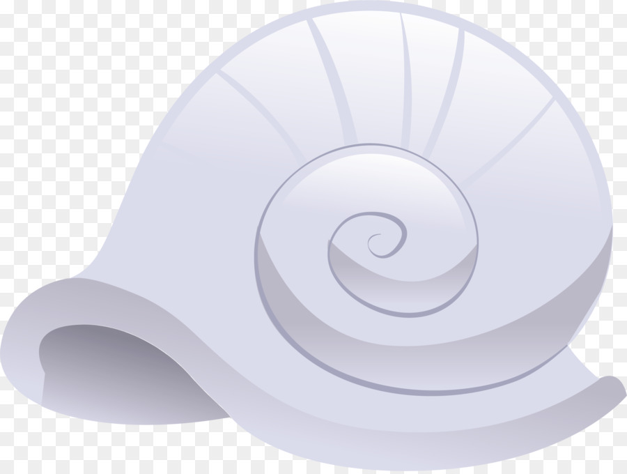 Coquille，Blanc PNG