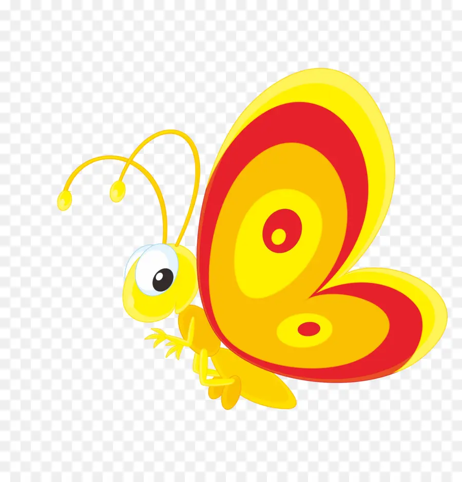 Papillon，Insecte PNG