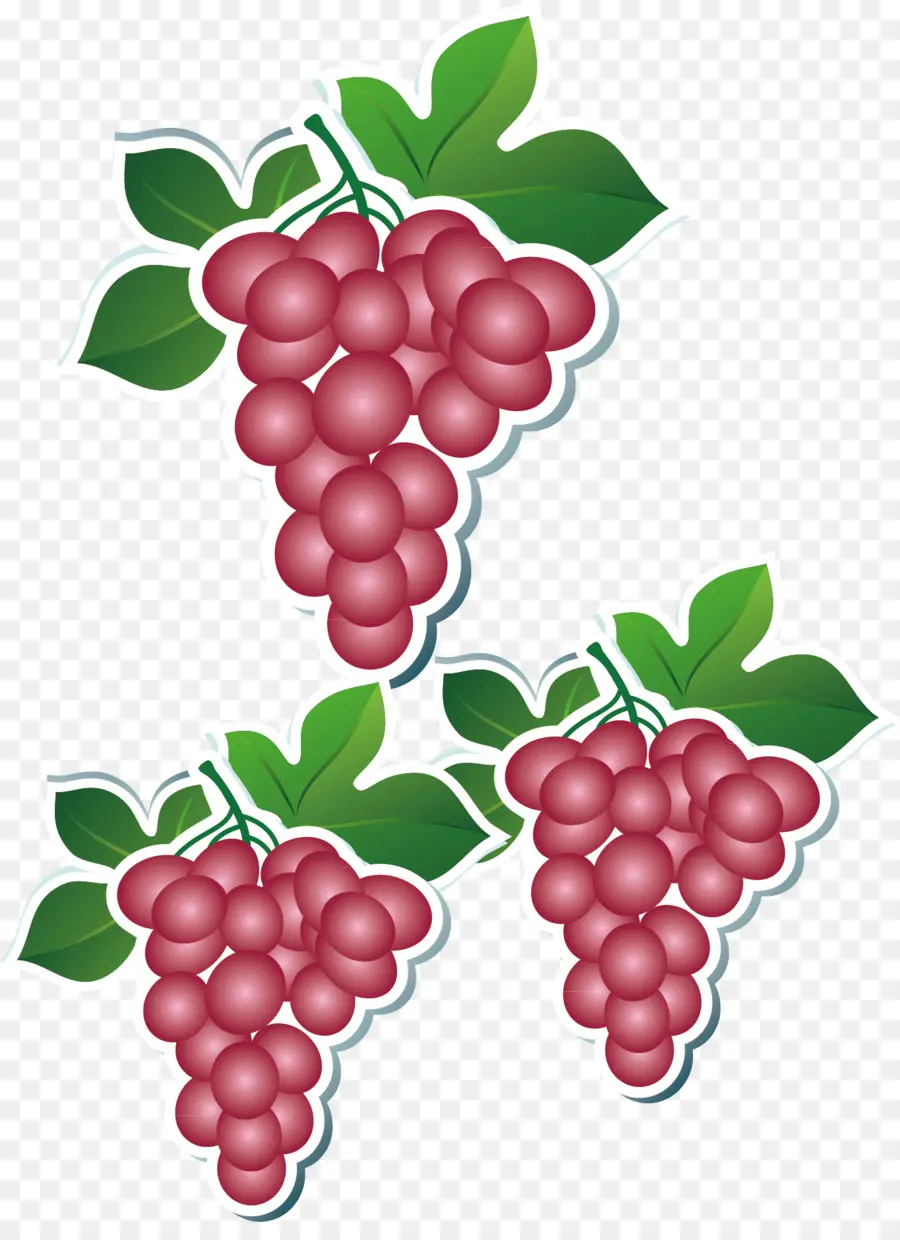 Raisins，Bouquet PNG