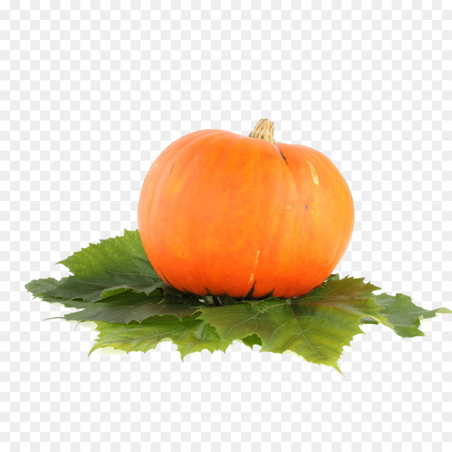 Citrouille，Gourde PNG