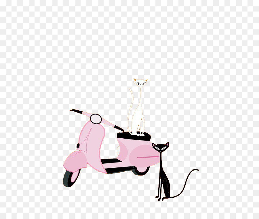 Chat，Moto PNG