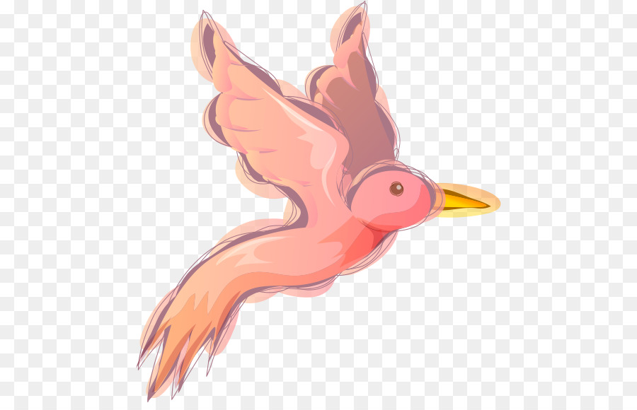 Oiseau De Dessin Animé，Vol PNG