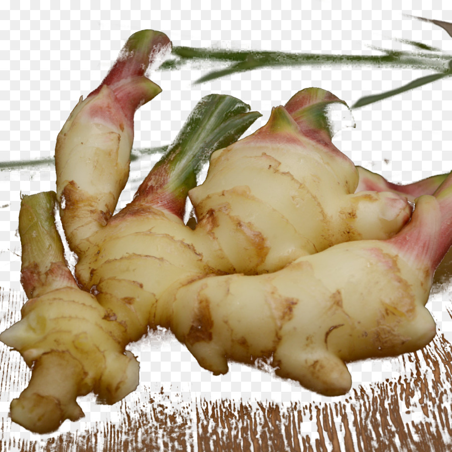 Légumes Racines，Gingembre PNG