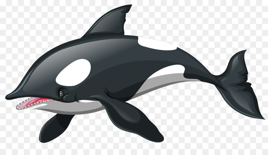 Orque，Baleine PNG